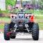 800/1000w 60V electric atv with CE