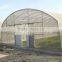 Hot sale low price tunnel greenhouse growing vegetable