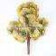 SJ070916 Colorful folium ginkgo leaf