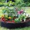 Nuohui grow bag strawberry