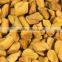 Export quality methi dana