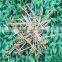 Christmas decoration natural bamboo skewer with knot