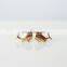 Teeny Tiny Gold Whale Earrings Smiling Whale Stud Earrings