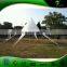 Sophisticated Technologies Advertising Star Tent