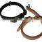 Custom Dog Leather collar and leashes
