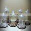 Dongguan Manufaction Acrylic Plastic Eternal Life Flower Flowers Micro Landscape Holiday Place