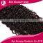 100% unprocessed no shedding & no tangle natural Brazillian human hair extension kinky curly