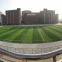 50mm Green Artificial Football Grass