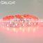 5050 rgb led strip bendable flexible led strip led channel letter