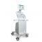 Powerful hifu body slimming/ultrasonic fat removal equipment price