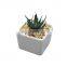 wholesale creative simple square white zakka ceramic succulent plant pot for garden/balcony/desktop