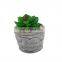 New design high quality mini desktop cement potted fake faux artificial succulent plants