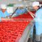 Automatic commercial tomato sauce production line machine concentrated sauce manufacturing plant equipment machinery price sale