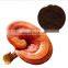 Wholesale reishi spore powder wall-broken ganoderma lucidum spore powder