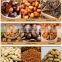 Peanut Roasting Nuts Sesame Soybean Corn Groundnut Roaster Processing Machine