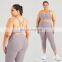 2 Pcs High Impact Yoga Gym Sets Women Fitness Sexy Plus Size Activewear Suit