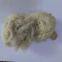 Tibetan Raw Greasy Cashmere Fibre 14.5micron with 32/34mm Prompt Shipment
