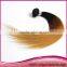Sell Best Colored Two Tone Hair Weave Tone Ombre Silky Straight Hair Extension