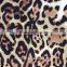 Knit printed fabric for Garment