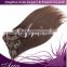 Virgin Human Hair Extension/Remy Clip Hair Wholesale