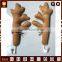 Most popular Christmas car decoration reindeer antlers