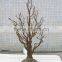 Sraight Trunk White Artificial Dry Tree