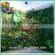 new design plastic vertical plants wall high simulation artificial green wall for indoor                        
                                                                                Supplier's Choice