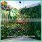 hot sale artificial green wall factory wholesale