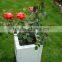 planter box