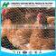 1/2",3/4" galvanized hexagonal wire netting/chicken mesh/rabbit netting