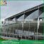Sawtooth type pvc greenhouse design uv plastic for greenhouses