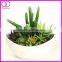 artificial echeveria succulent pot