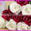 Romantic pink artificial wild flower rose for wedding