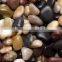 Natural River Stone Pebble for Landscaping