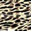 FDY printing knitted fabric