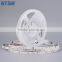 Energy Saving Floor Light Led Strip Lighting With IP65 Waterproof