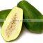 Green Papaya Exporters