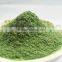 barley extract powder