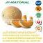 100% natural hami melon powder water-soluble powder