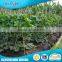  Hot Products Non-Woven Agriculture Black Plastic Mulch Film