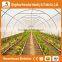 Heracles trade saaurance good quality greenhouse material-200 micron greenhouse film greenhouse for sale