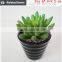 Factory Hot sale artificial succulents plants mini artificial succulents