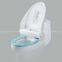 Bidet Toilet Seat