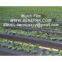 Mulch Film