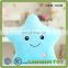 Manufacture Soft Glow In The Dark Plush Toy
