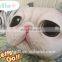 Custom Cartoon Cat Printed Pillow