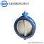 Drinking Water U Flange Type Butterfly Valve Manual Operated UD341XP-10Q DN1000