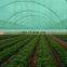Algeria agricultural sunshade net
