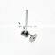 Diesel engine spare part metal 3697413  ISG intake valve