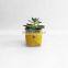 Small Felt Plant Holder Basket bag for little plant